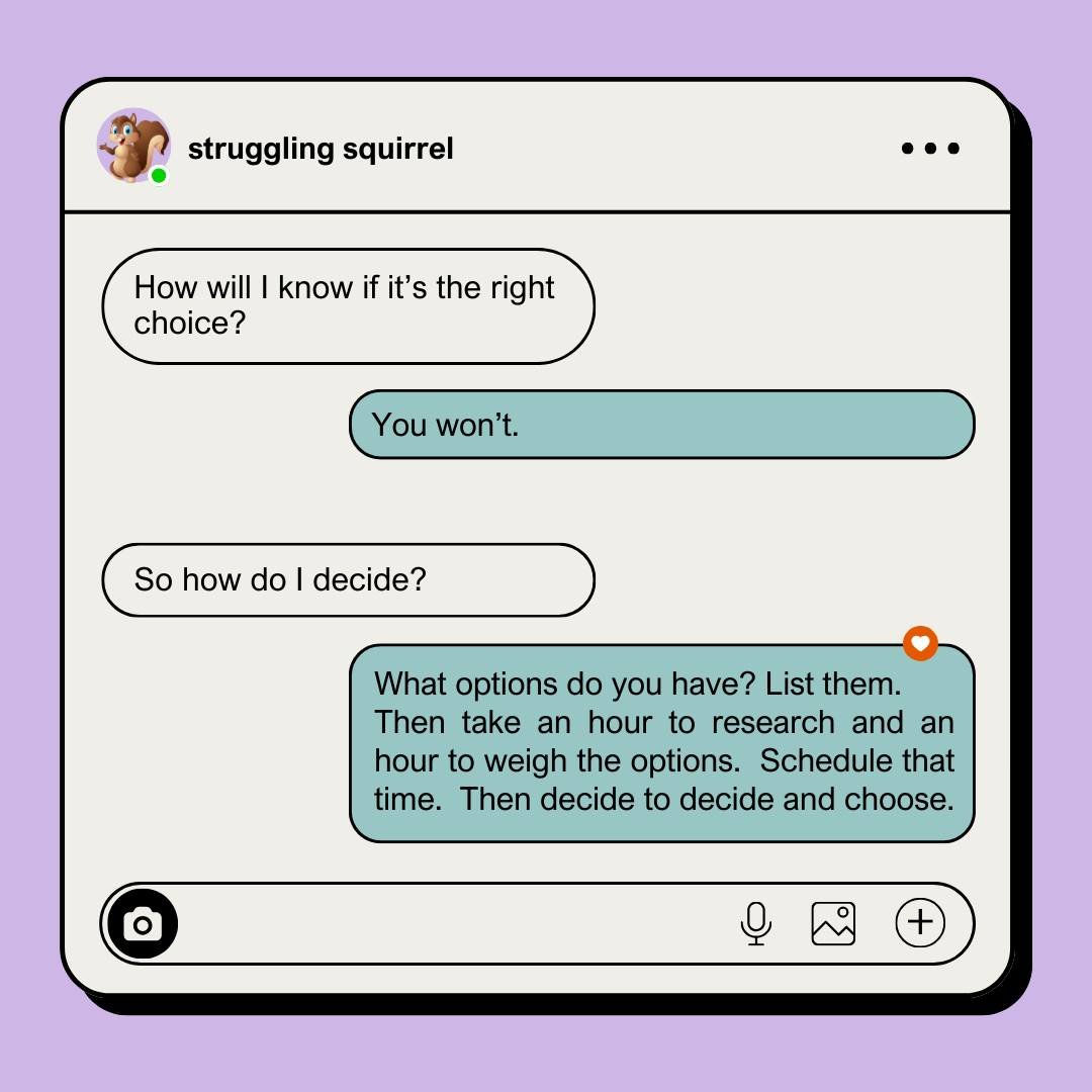 Image of a message text box of a conversation between Struggling Squirrel and a coach. The squirrel wants to know if his choice is the "right" choice. The coach poses the question there may be no right choices.